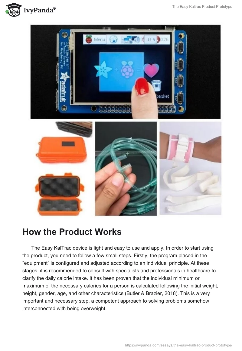 The Easy Kaltrac Product Prototype. Page 3