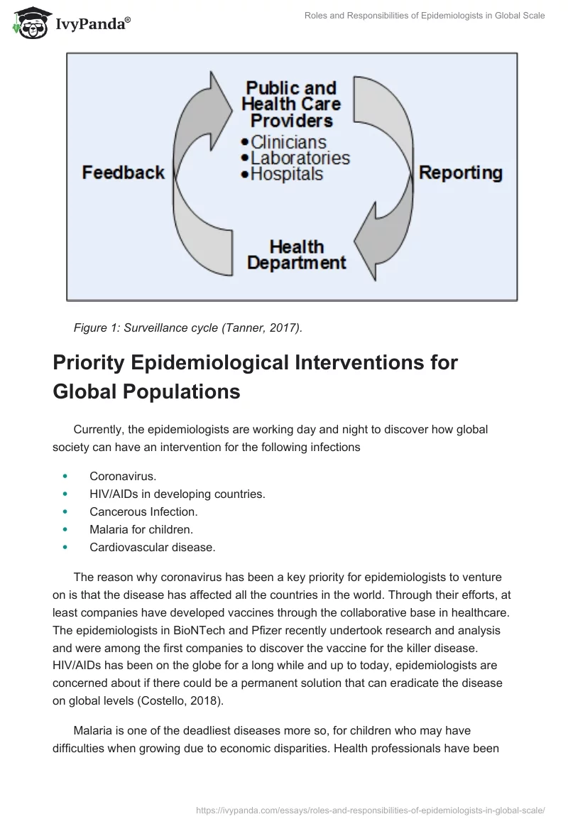 Roles and Responsibilities of Epidemiologists in Global Scale. Page 2