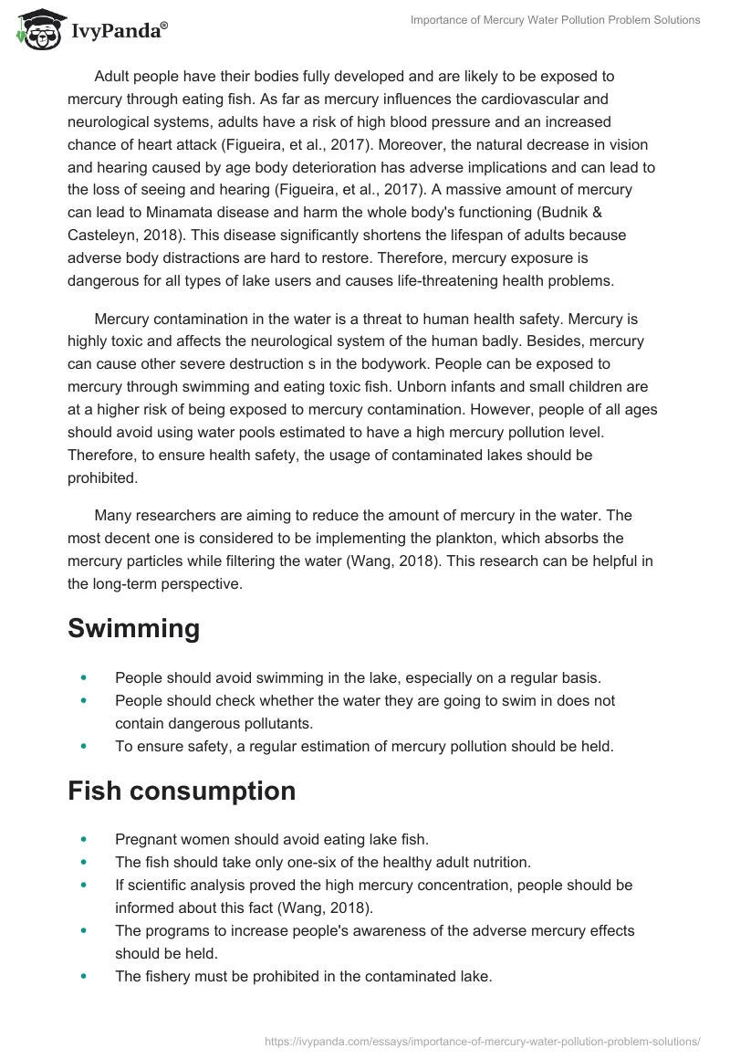 Importance of Mercury Water Pollution Problem Solutions. Page 3
