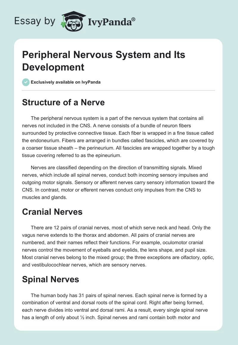 Peripheral Nervous System and Its Development. Page 1