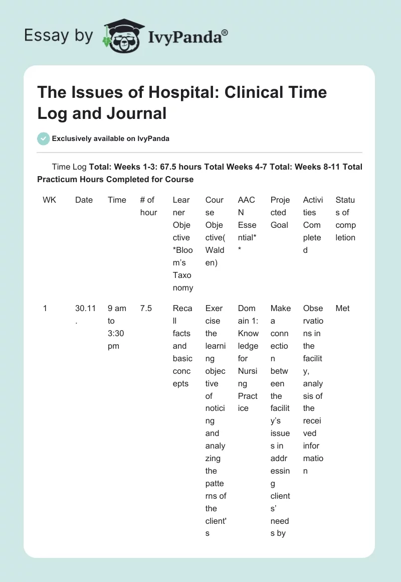 The Issues of Hospital: Clinical Time Log and Journal. Page 1