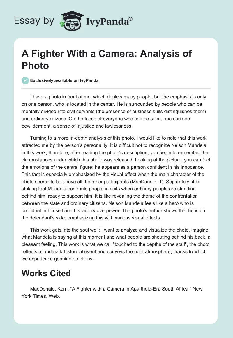 A Fighter With a Camera: Analysis of Photo. Page 1