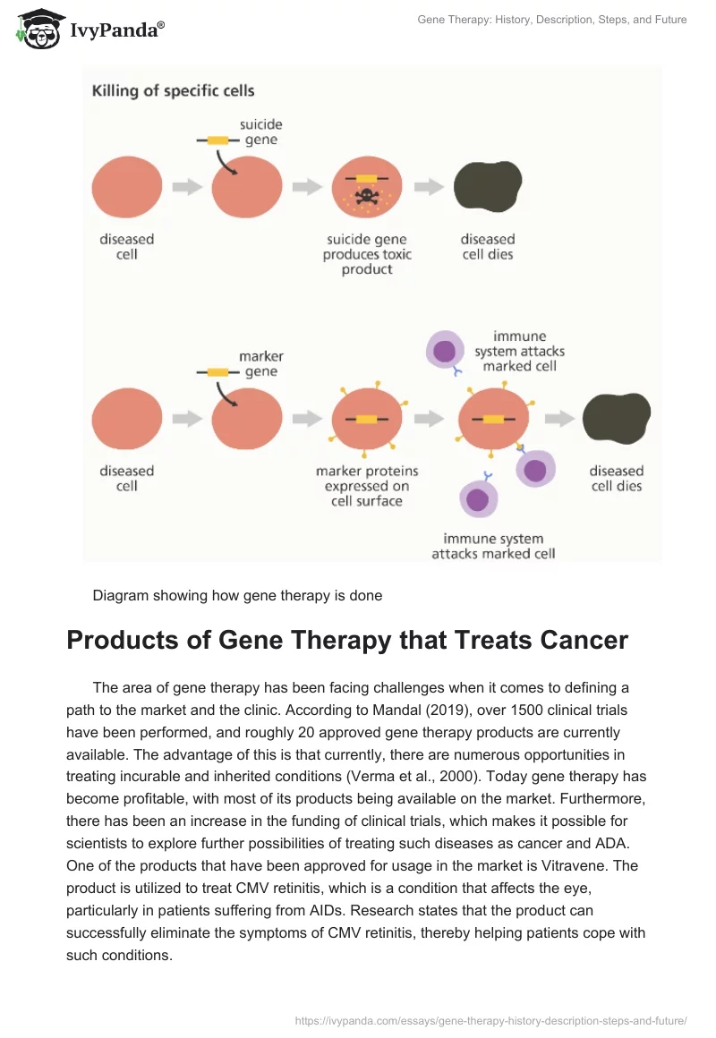 Gene Therapy: History, Description, Steps, and Future. Page 4