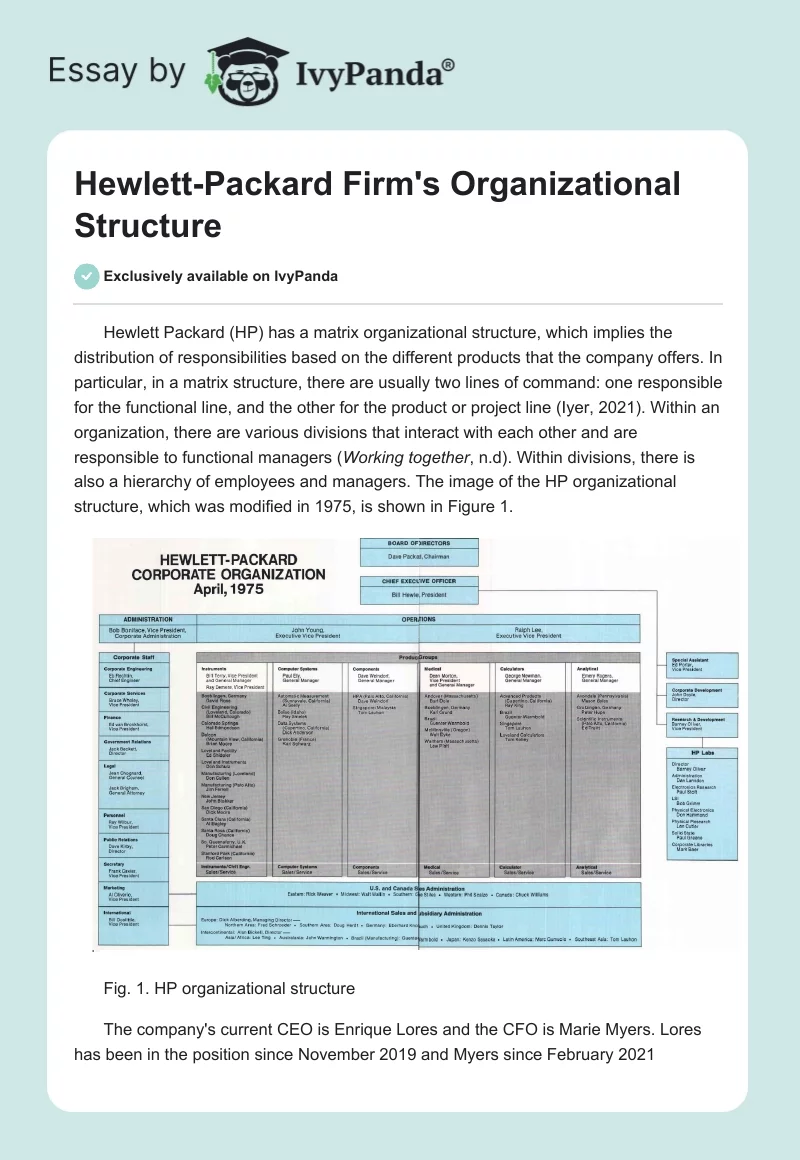 Hewlett-Packard Firm's Organizational Structure. Page 1