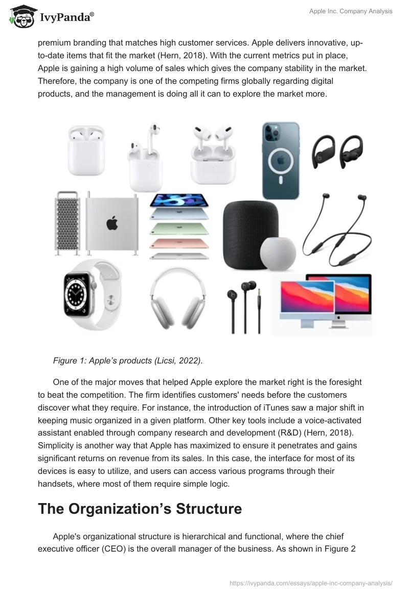 Apple Inc. Company Analysis. Page 2