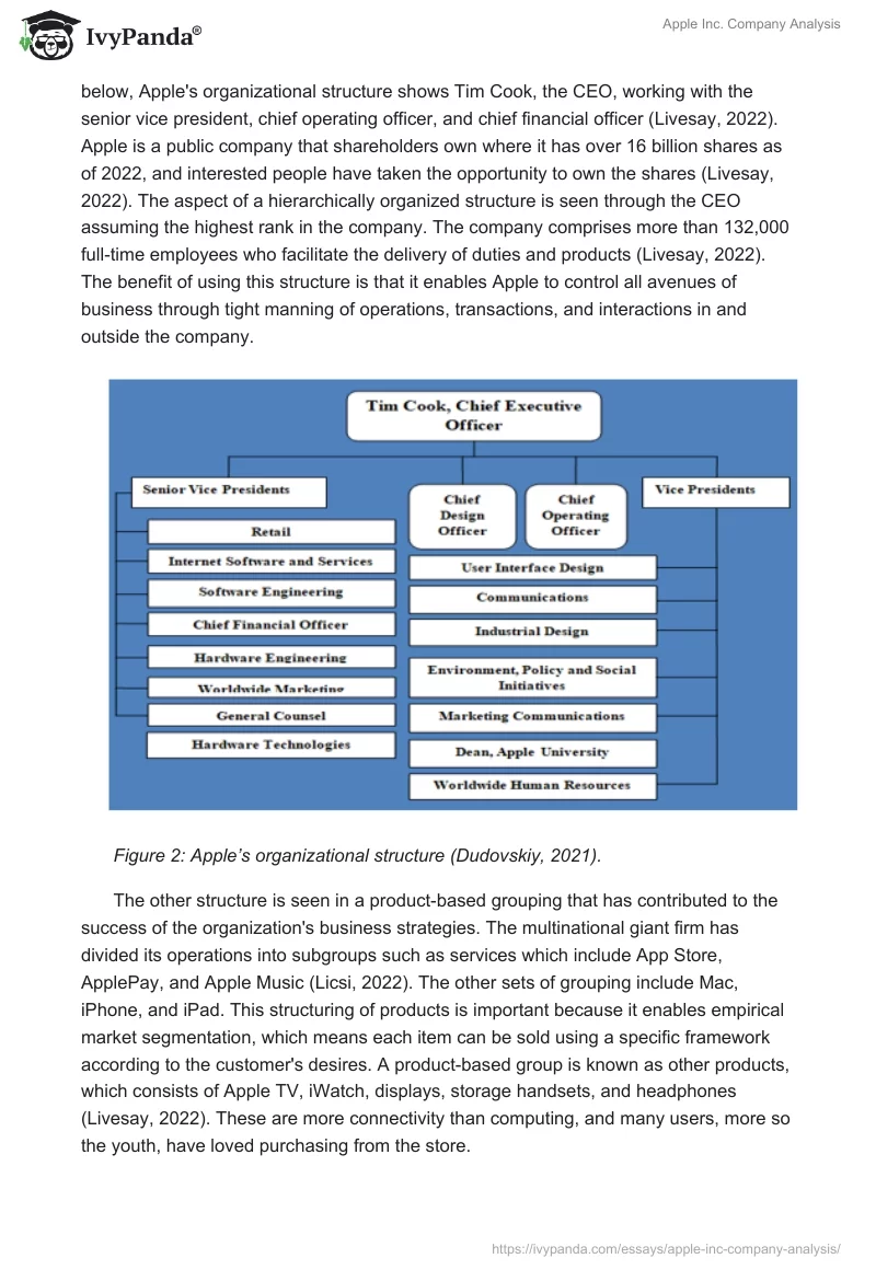 Apple Inc. Company Analysis. Page 3