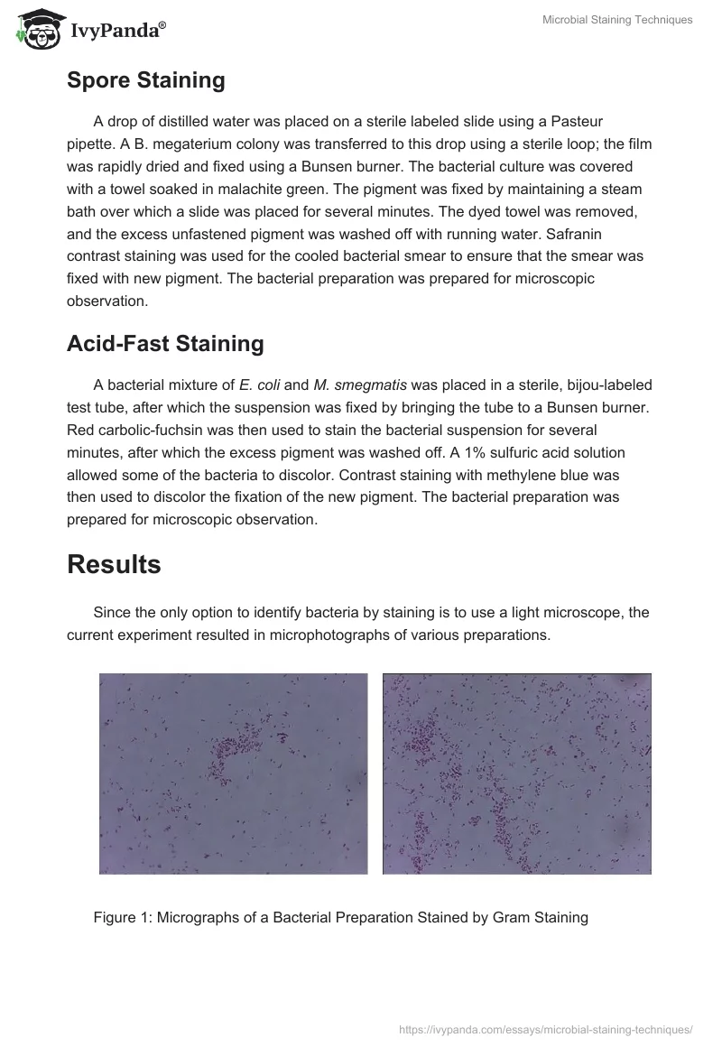Microbial Staining Techniques. Page 2