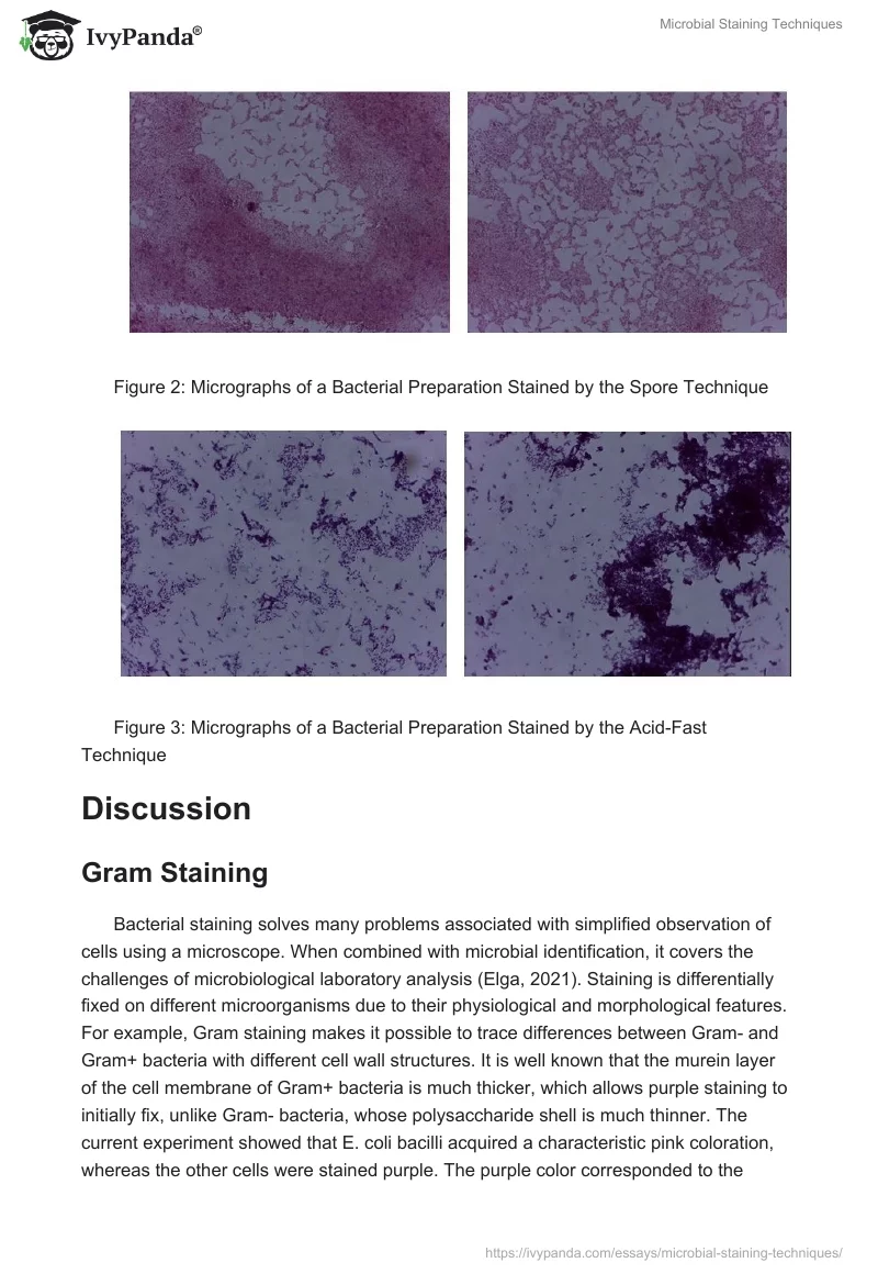 Microbial Staining Techniques. Page 3