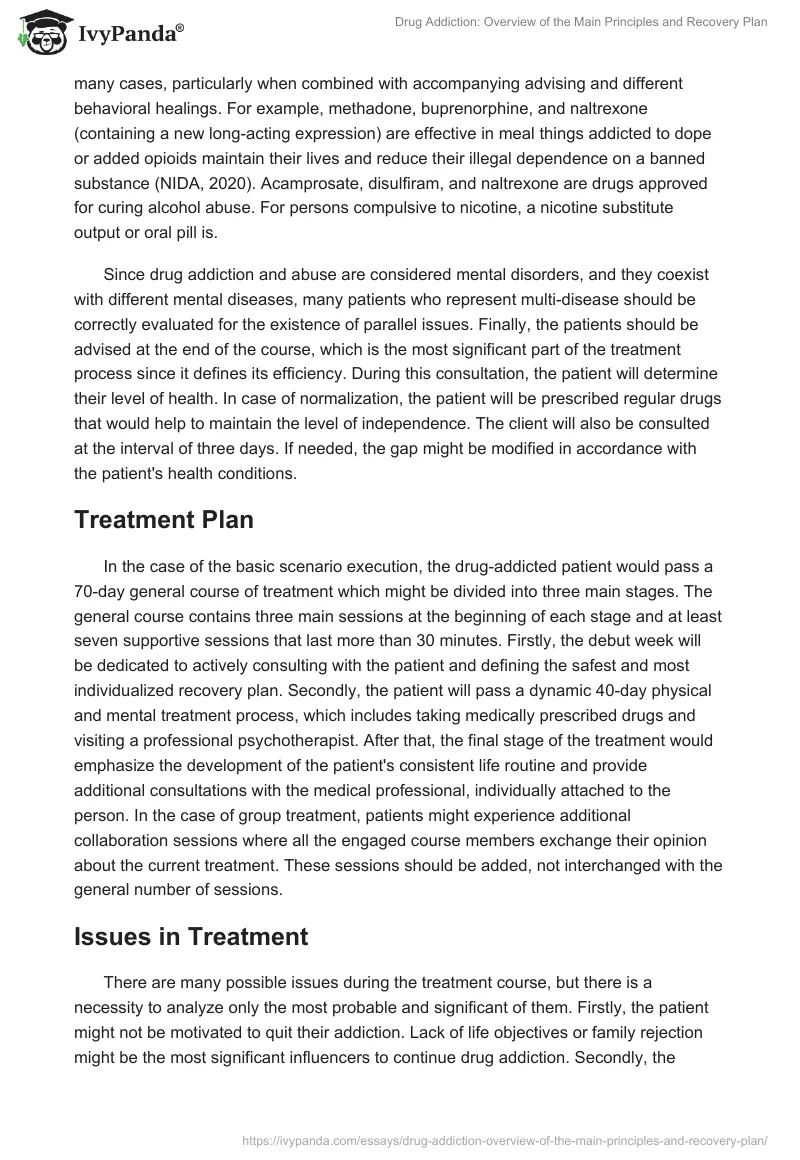 Drug Addiction: Overview of the Main Principles and Recovery Plan. Page 4
