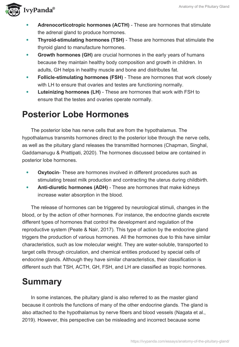 Anatomy of the Pituitary Gland. Page 2