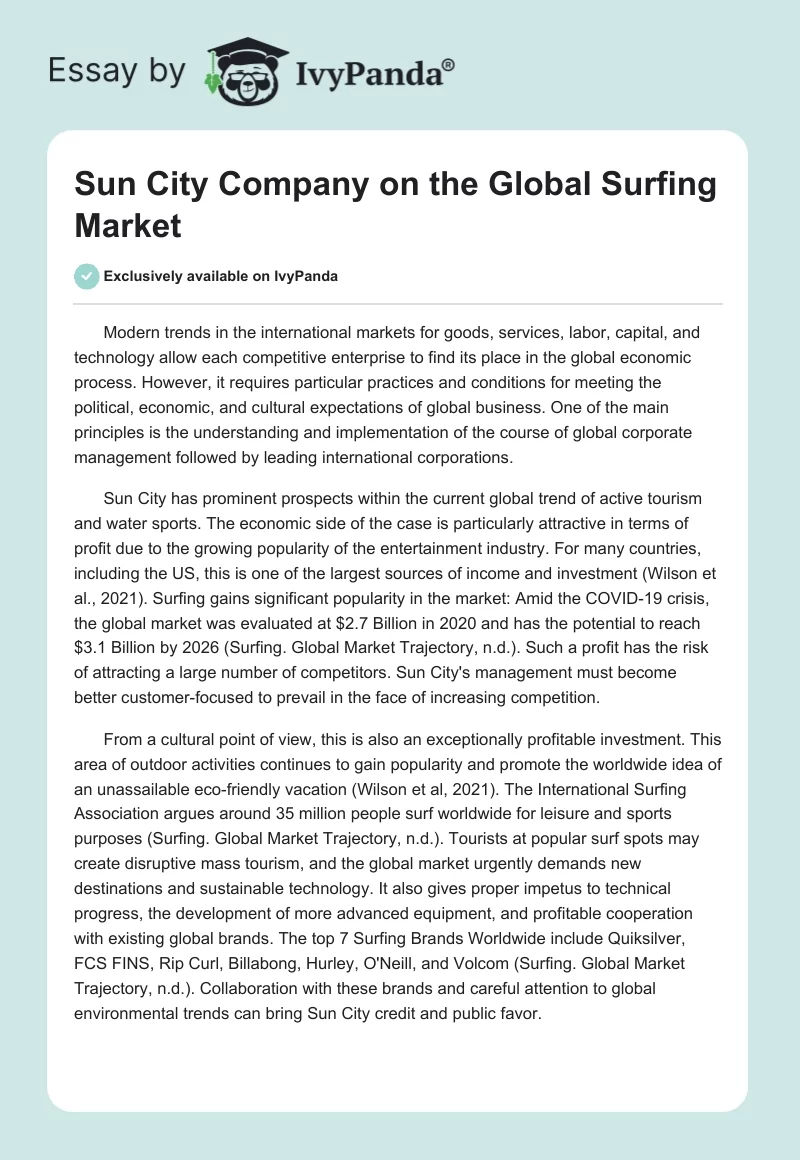 Sun City Company on the Global Surfing Market. Page 1