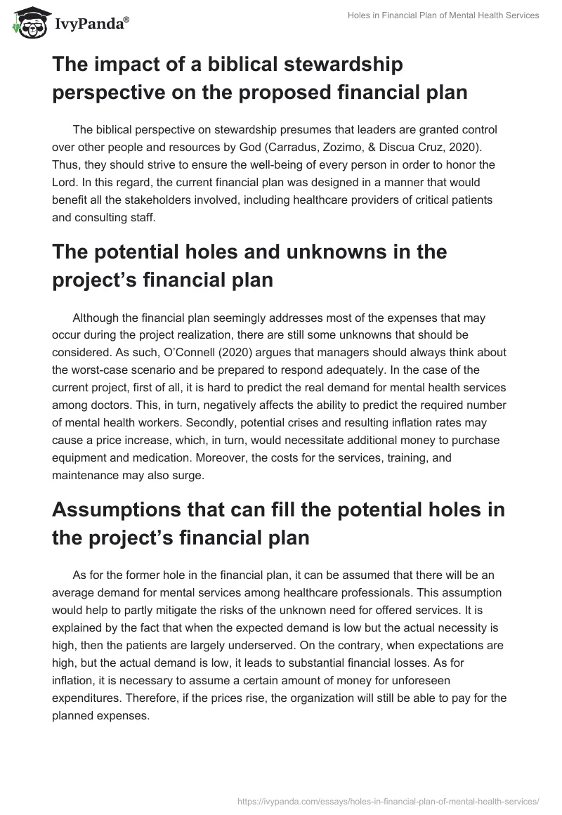 Holes in Financial Plan of Mental Health Services. Page 3
