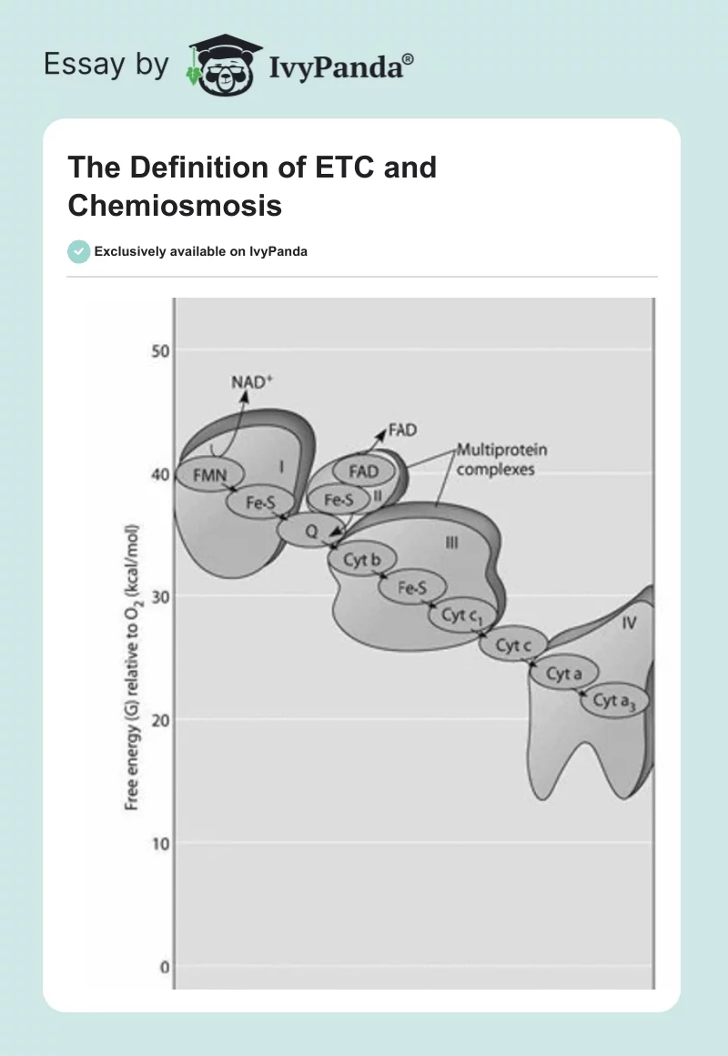 The Definition of ETC and Chemiosmosis. Page 1