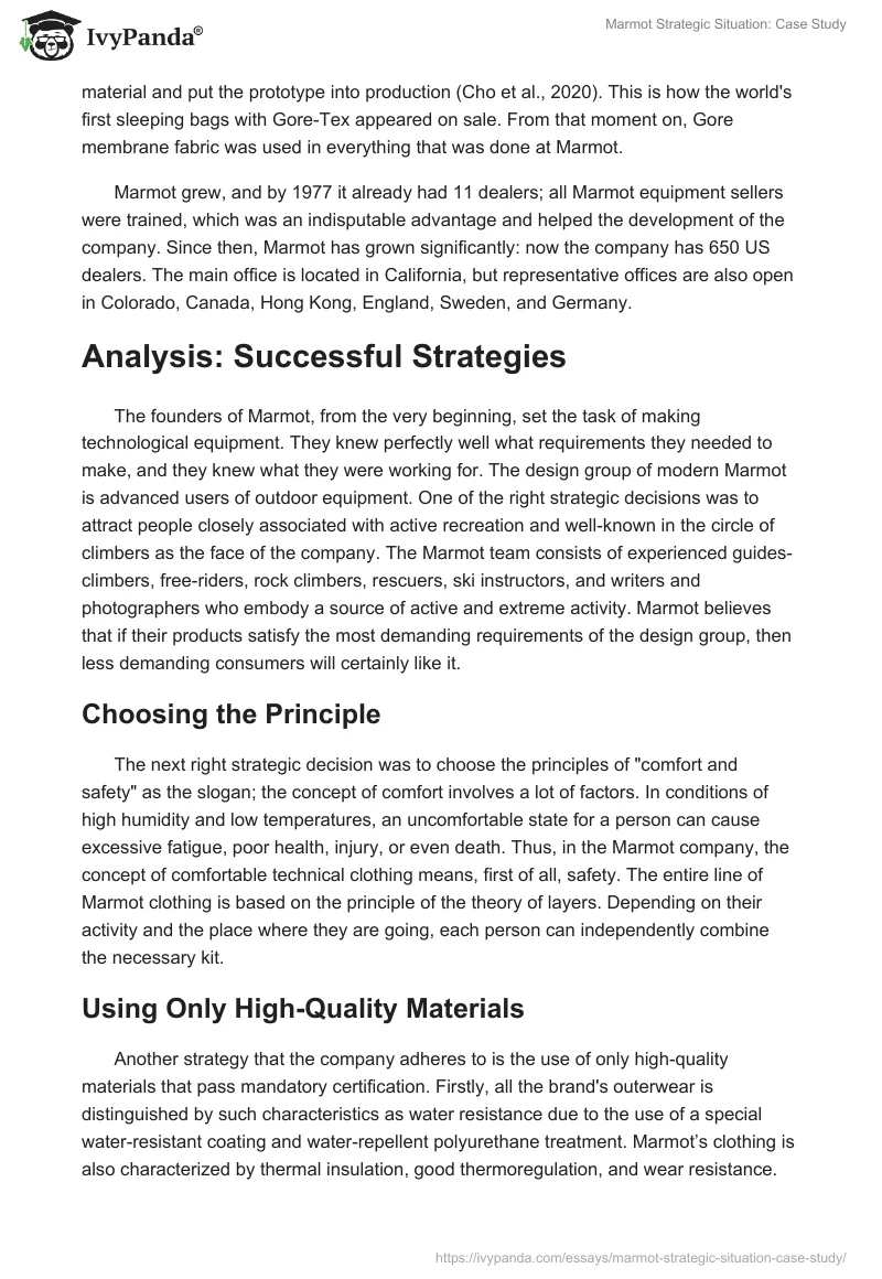 Marmot Strategic Situation: Case Study. Page 2