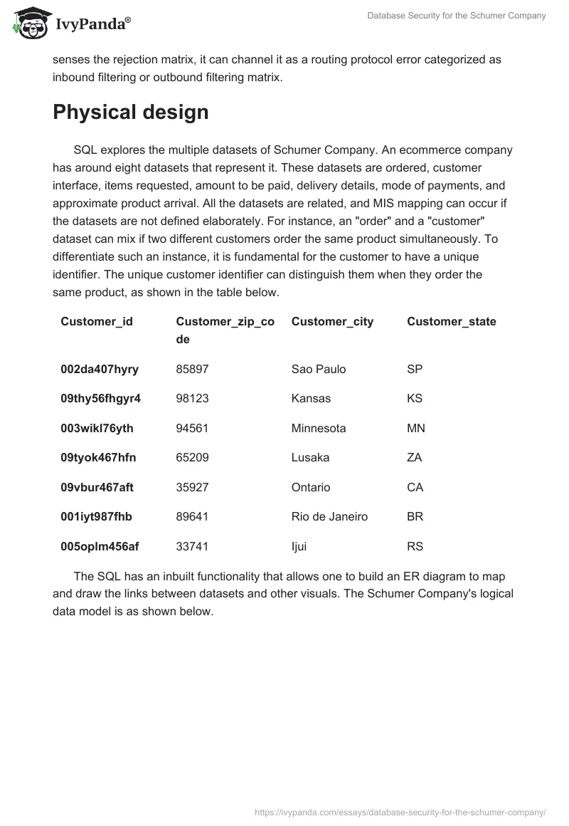 Database Security for the Schumer Company. Page 3