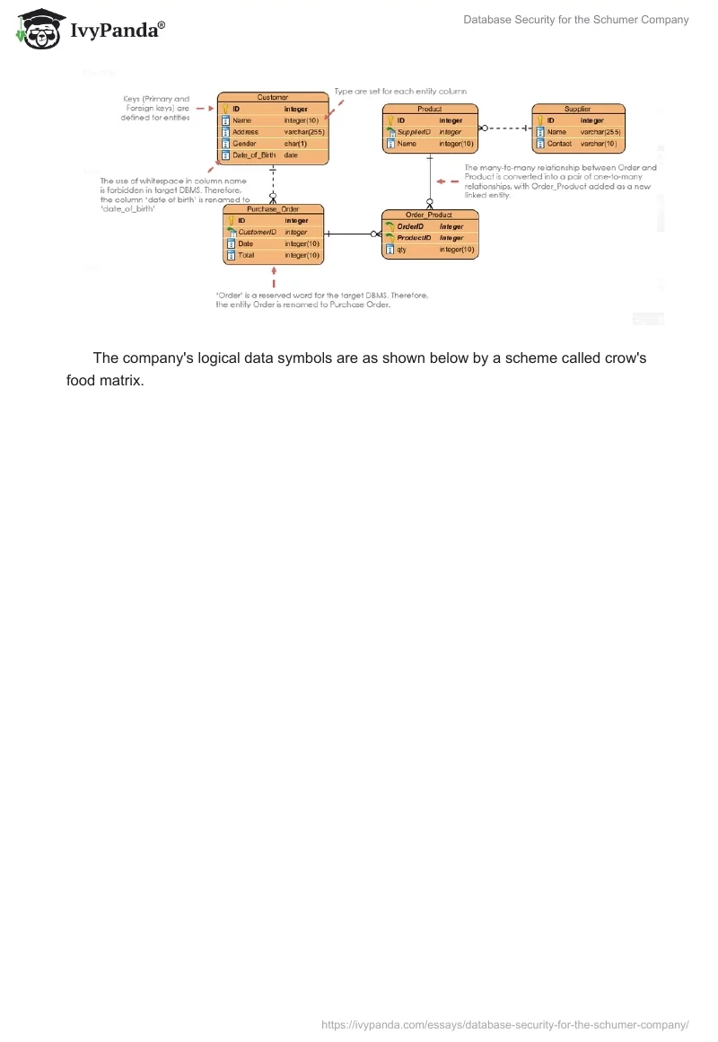 Database Security for the Schumer Company. Page 4