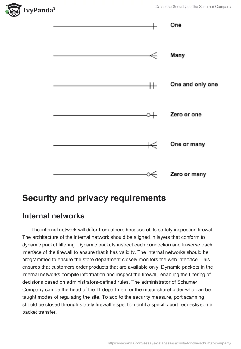 Database Security for the Schumer Company. Page 5
