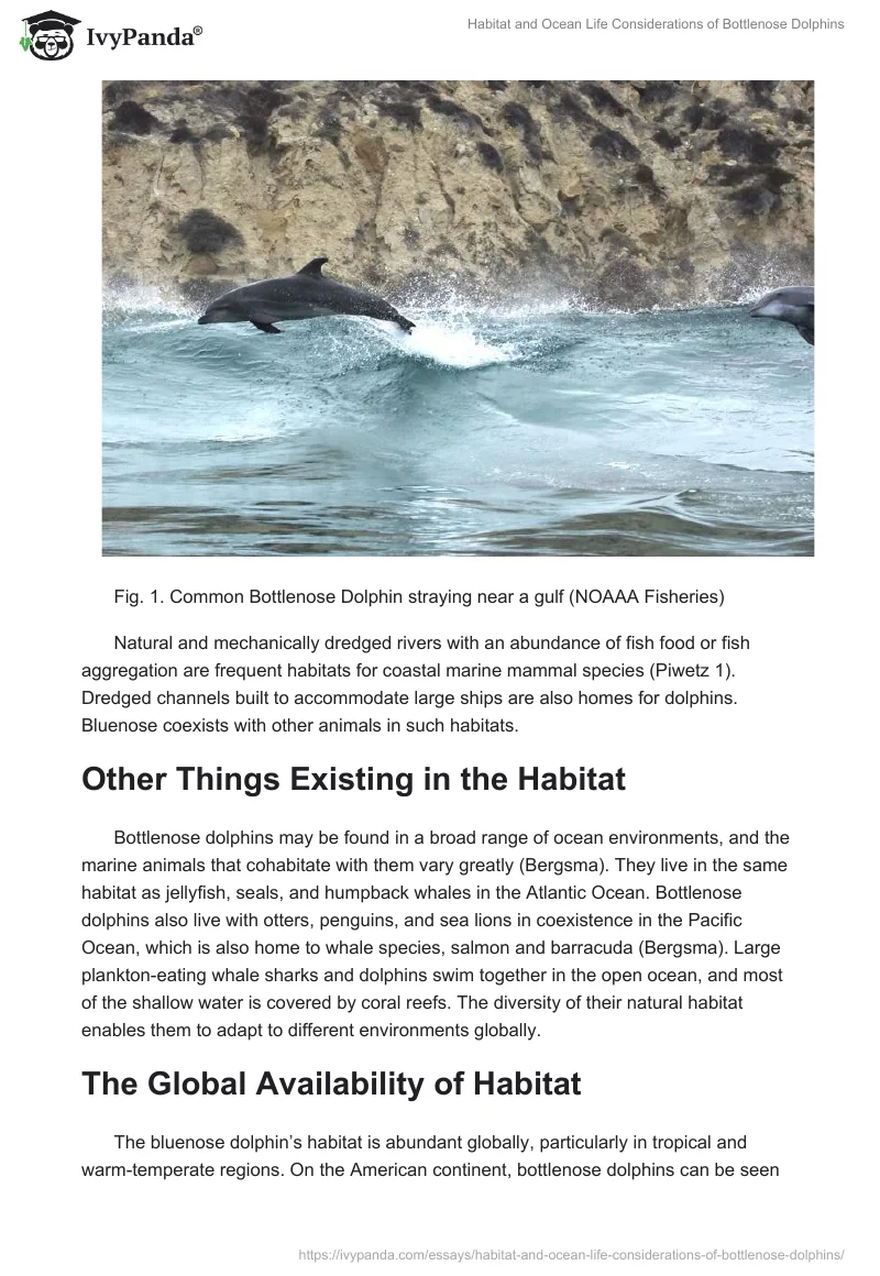 Habitat and Ocean Life Considerations of Bottlenose Dolphins. Page 2