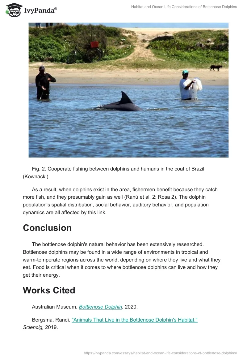 Habitat and Ocean Life Considerations of Bottlenose Dolphins. Page 5