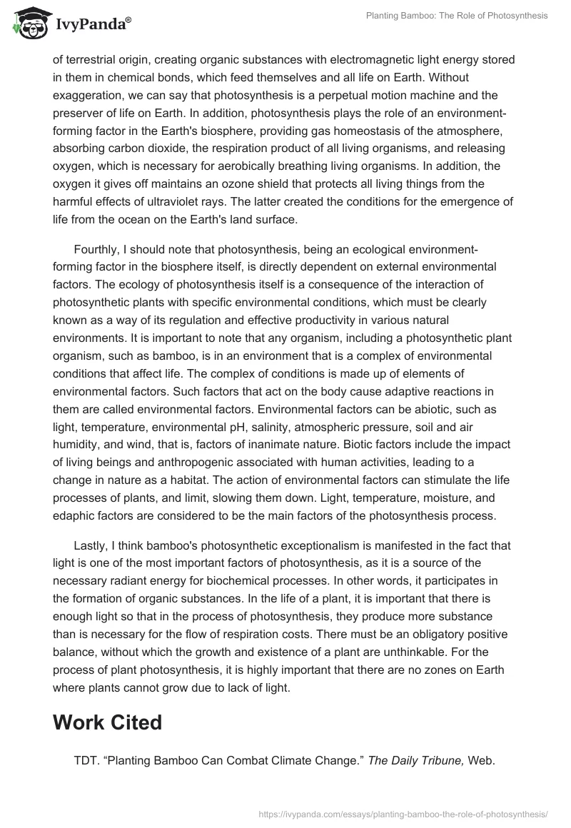 Planting Bamboo: The Role of Photosynthesis. Page 2