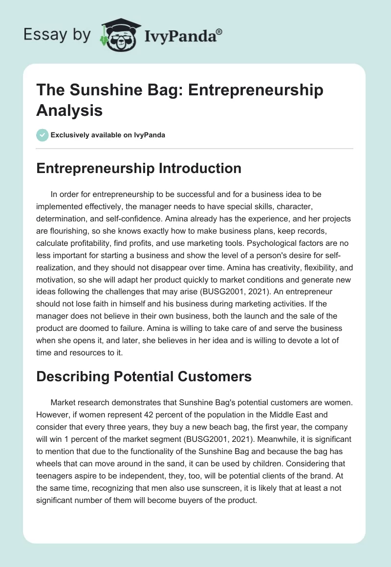 The Sunshine Bag: Entrepreneurship Analysis. Page 1