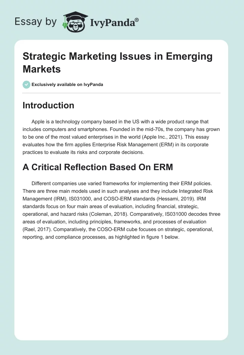 Strategic Marketing Issues in Emerging Markets. Page 1