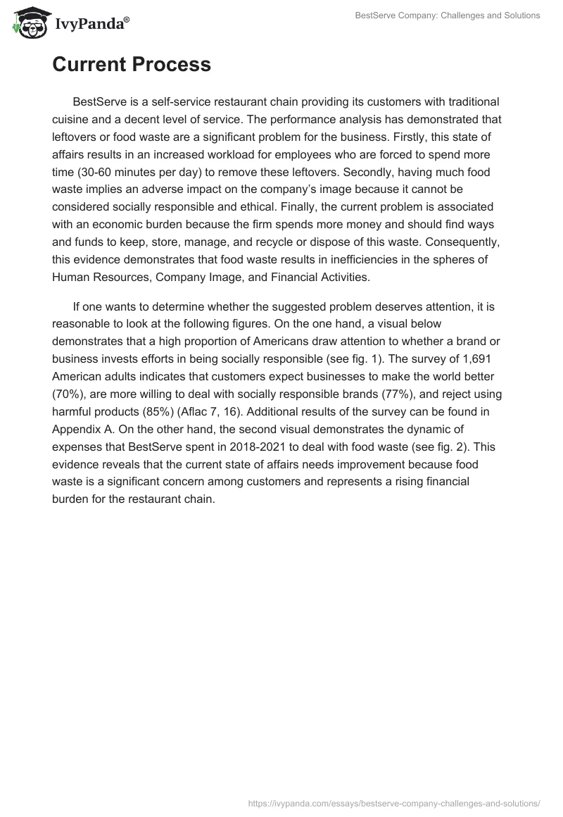 BestServe Company: Challenges and Solutions. Page 2