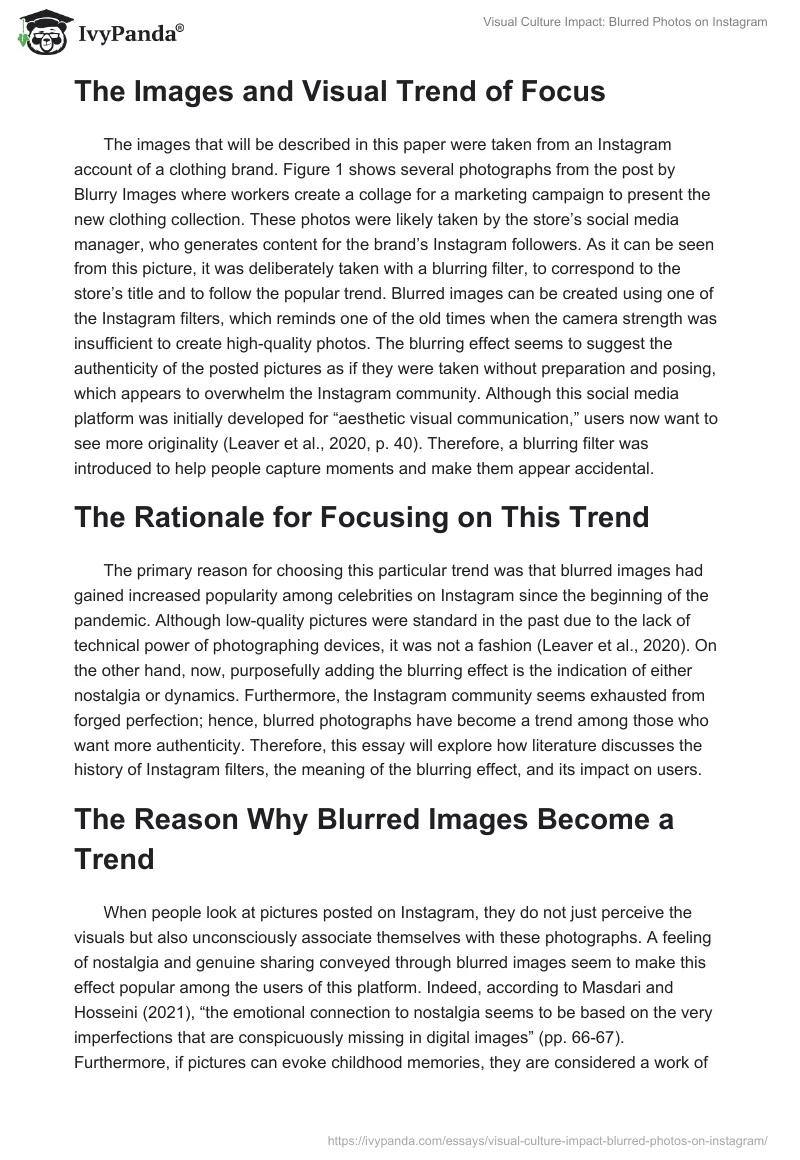 Visual Culture Impact: Blurred Photos on Instagram. Page 2