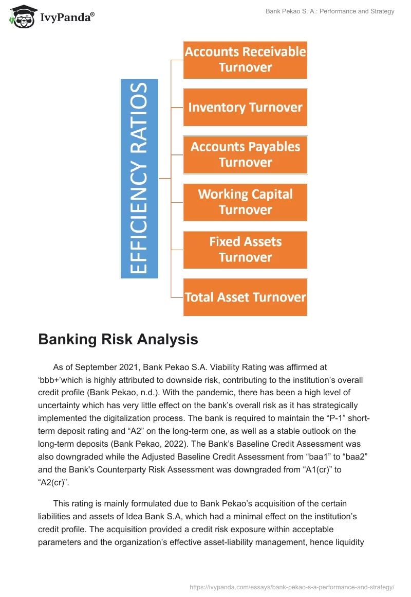 Bank Pekao S. A.: Performance and Strategy. Page 3
