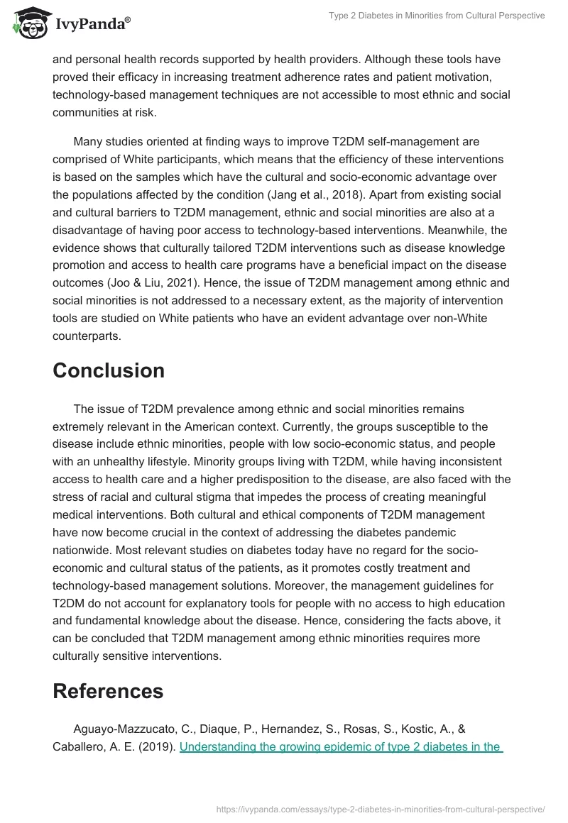 Type 2 Diabetes in Minorities from Cultural Perspective. Page 4
