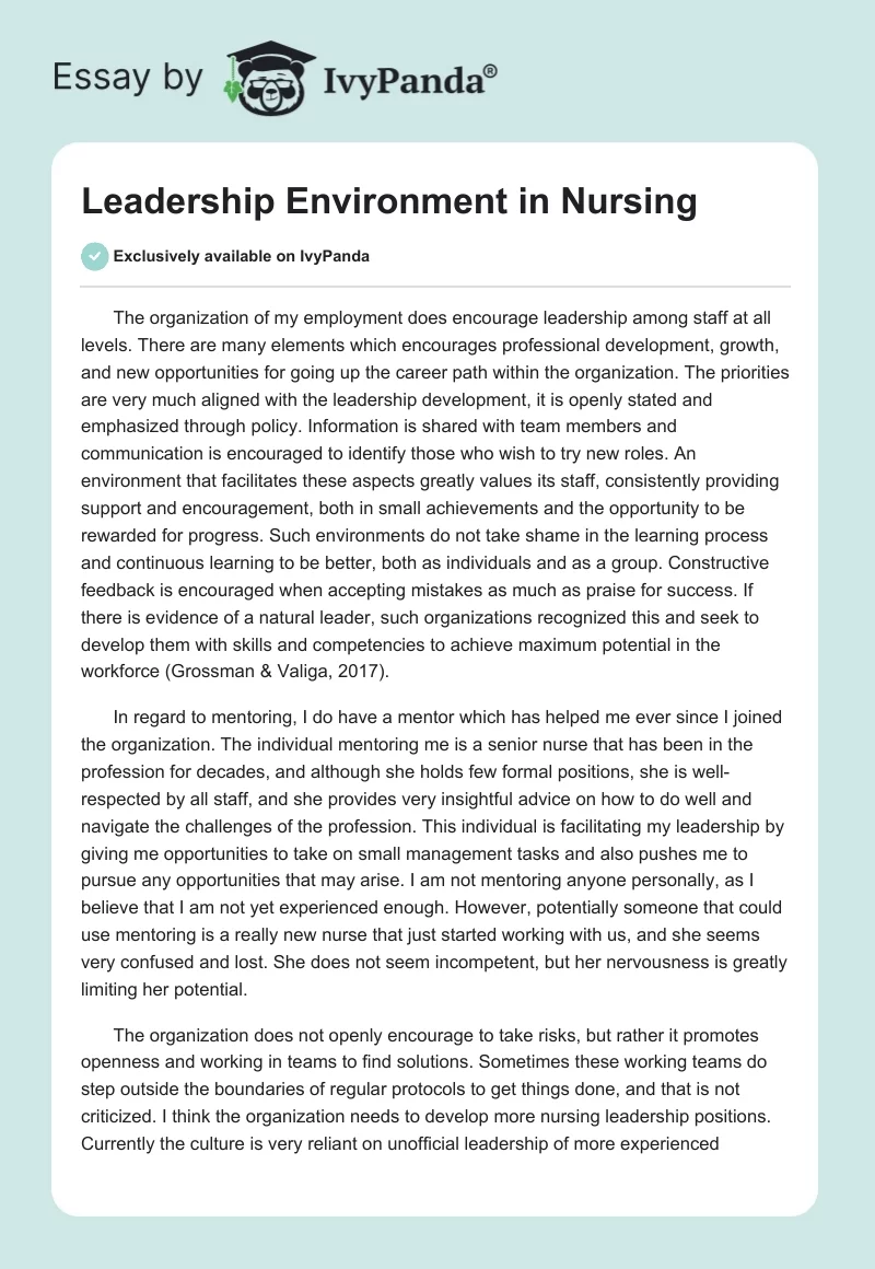 Leadership Environment in Nursing. Page 1