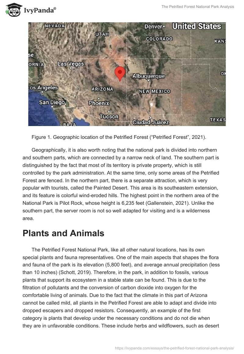 The Petrified Forest National Park Analysis. Page 2