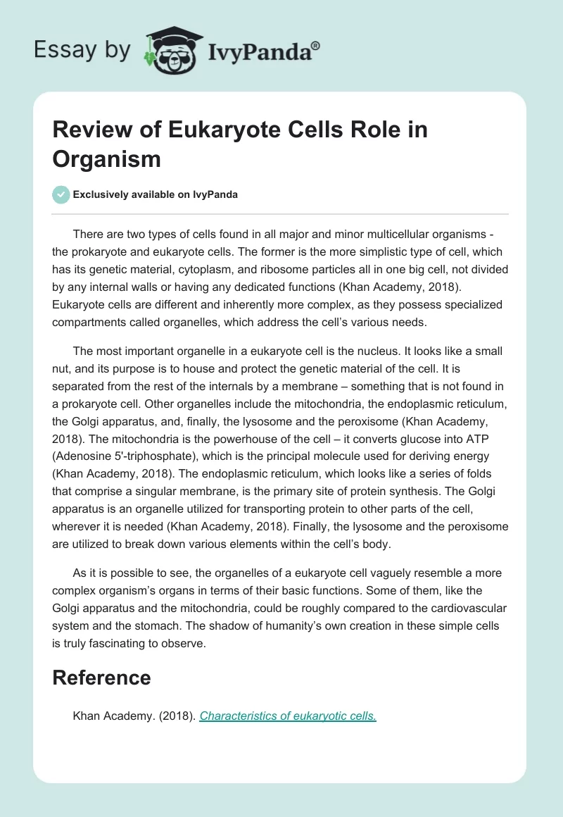 Review of Eukaryote Cells Role in Organism. Page 1
