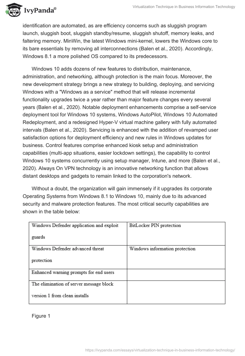 Virtualization Technique in Business Information Technology. Page 3