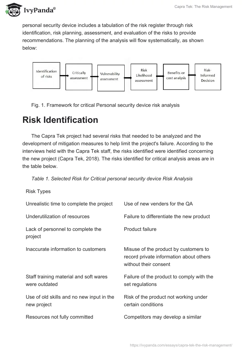 Capra Tek: The Risk Management. Page 2