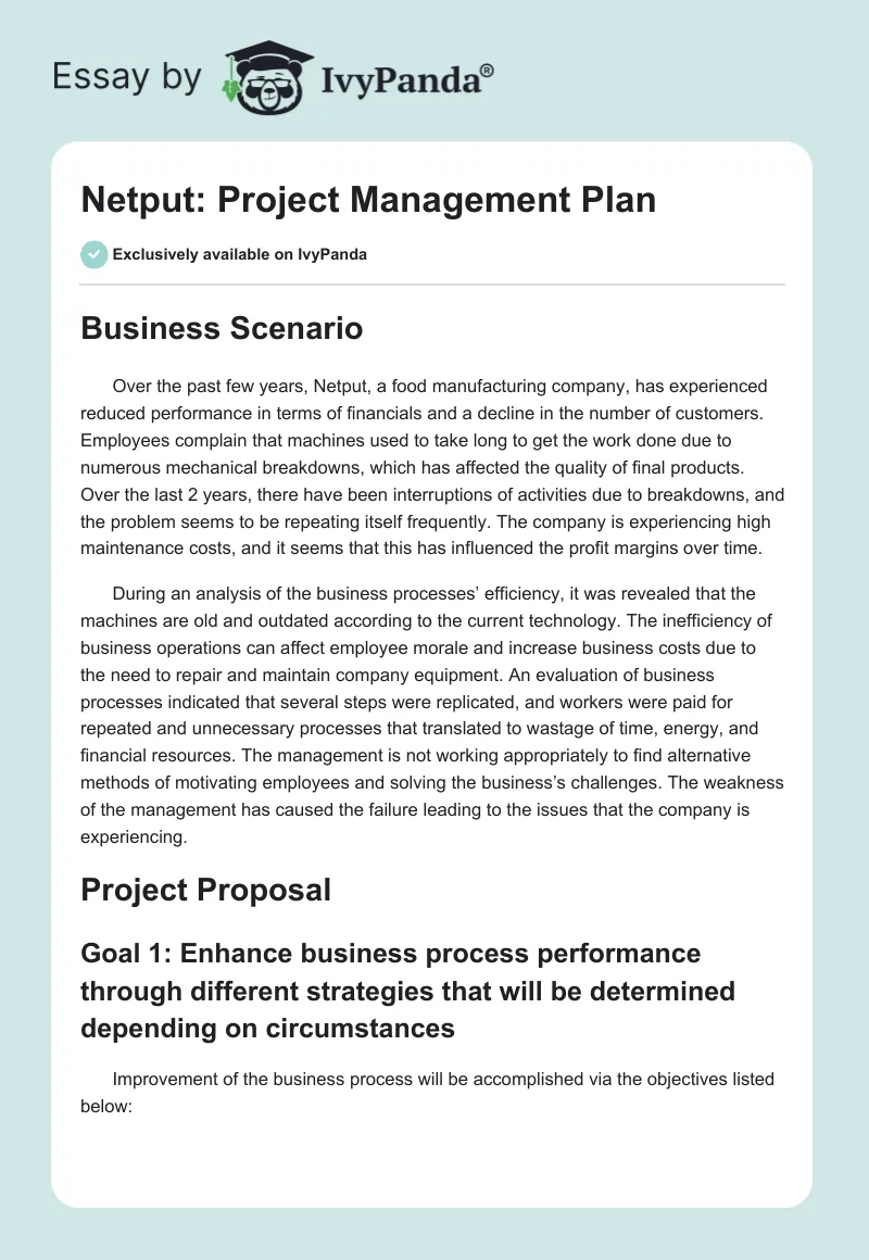 Netput: Project Management Plan. Page 1