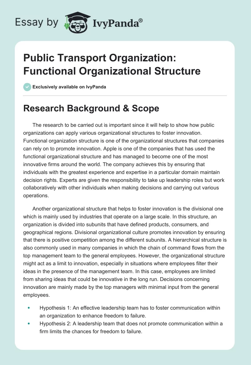 Public Transport Organization: Functional Organizational Structure. Page 1