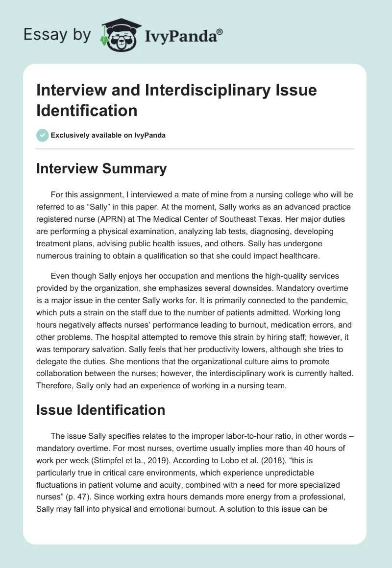 Interview and Interdisciplinary Issue Identification. Page 1
