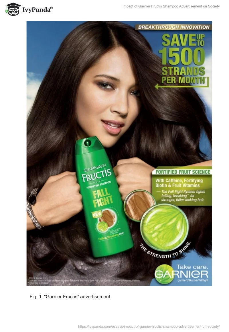Impact of Garnier Fructis Shampoo Advertisement on Society. Page 2