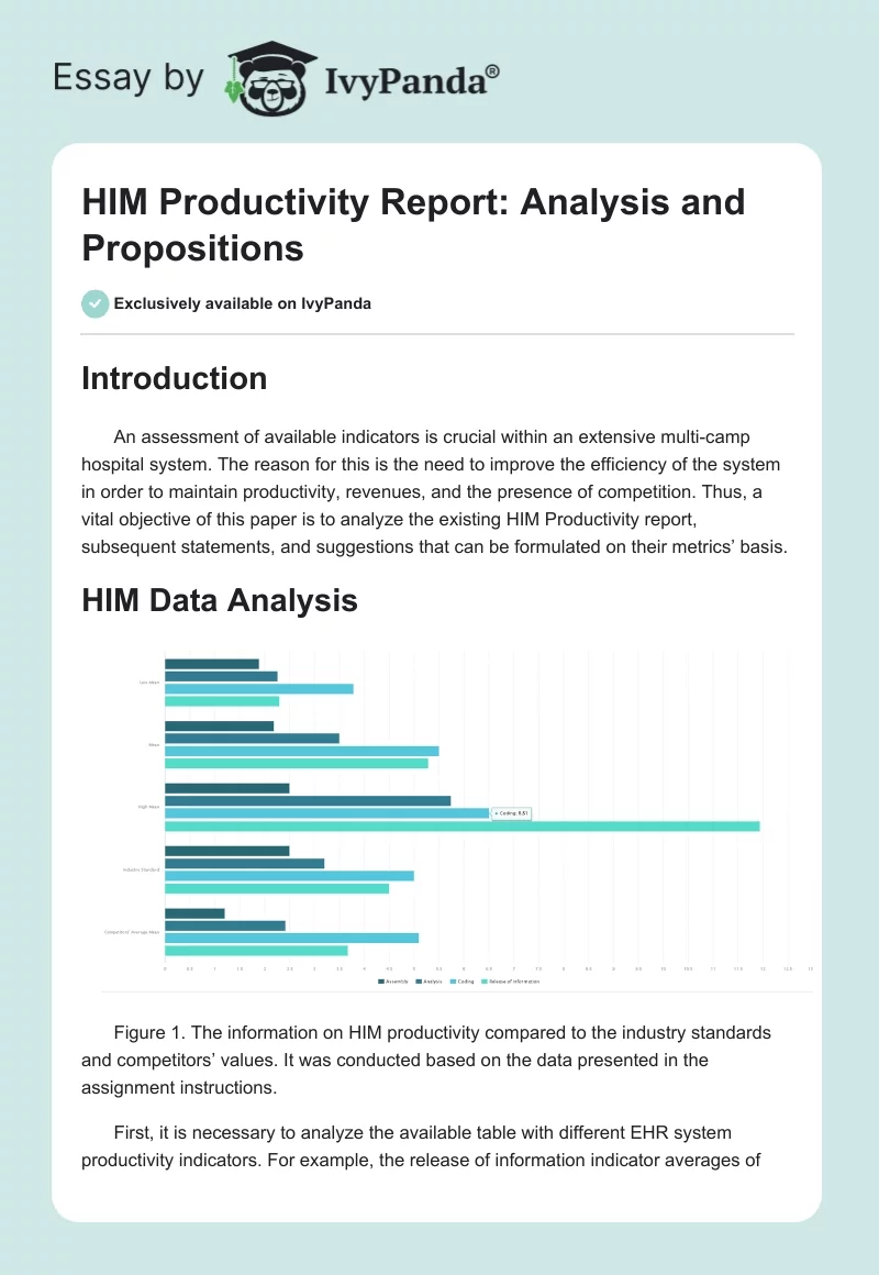 HIM Productivity Report: Analysis and Propositions. Page 1