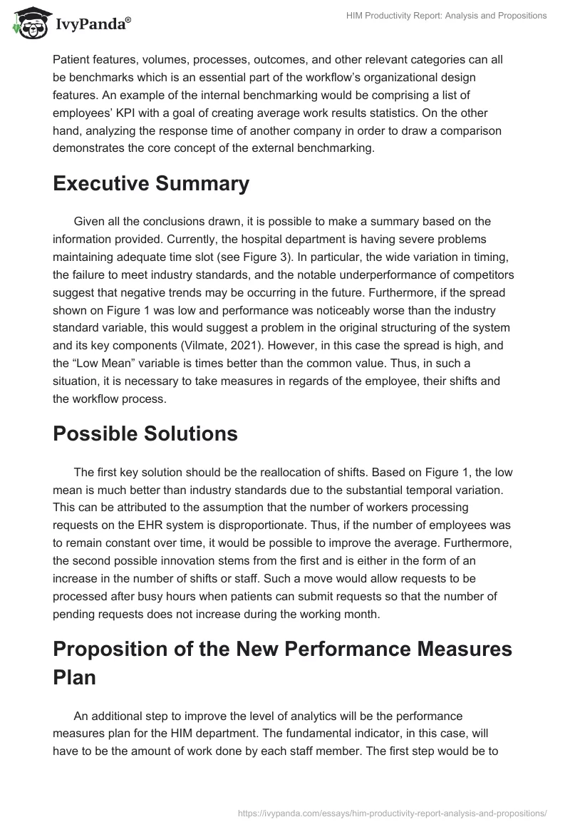 HIM Productivity Report: Analysis and Propositions. Page 3