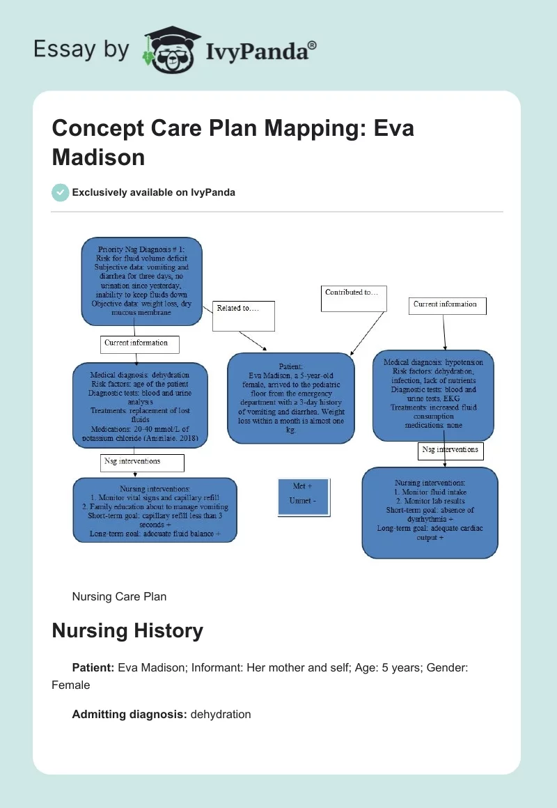 Concept Care Plan Mapping: Eva Madison. Page 1