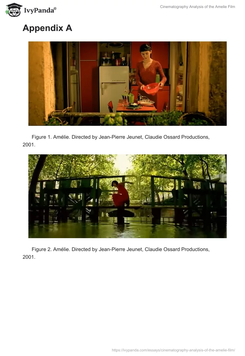 Cinematography Analysis of the "Amelie" Film. Page 2