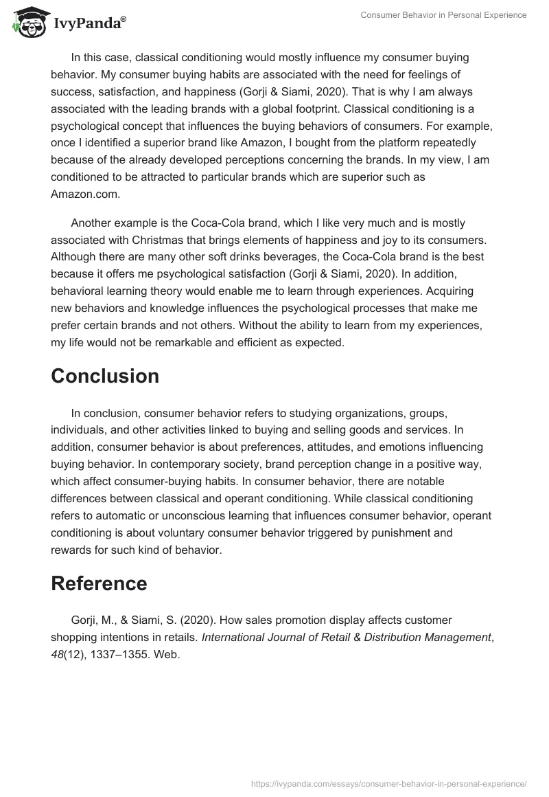 Consumer Behavior in Personal Experience. Page 3