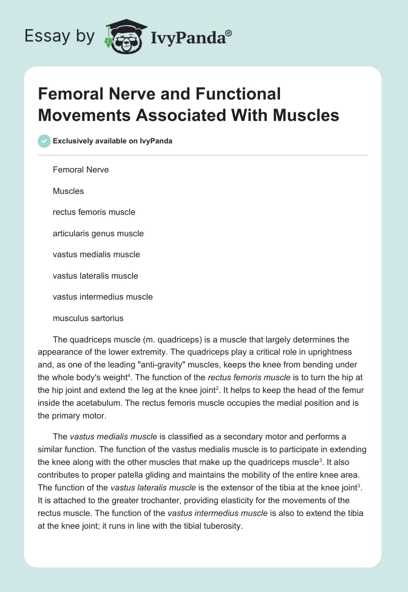 Femoral Nerve and Functional Movements Associated With Muscles. Page 1