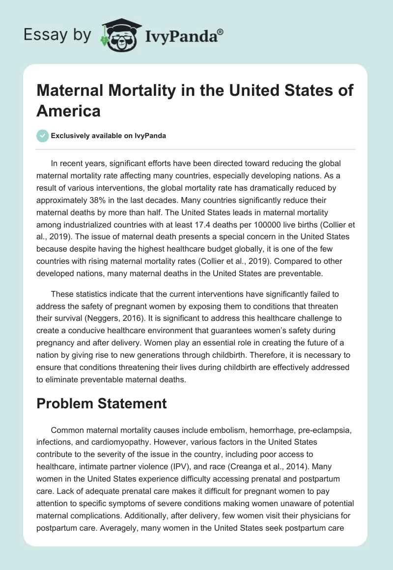 Maternal Mortality in the United States of America. Page 1