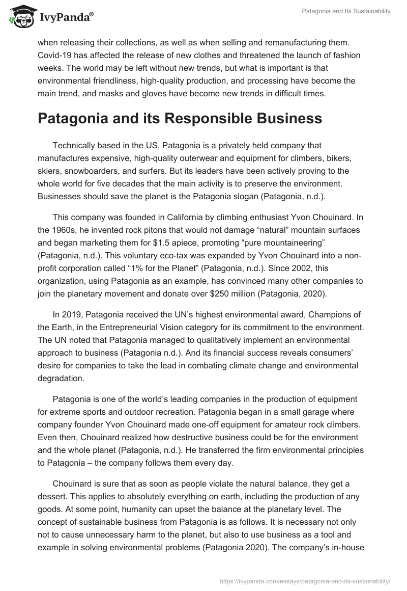 Patagonia and Its Sustainability. Page 2