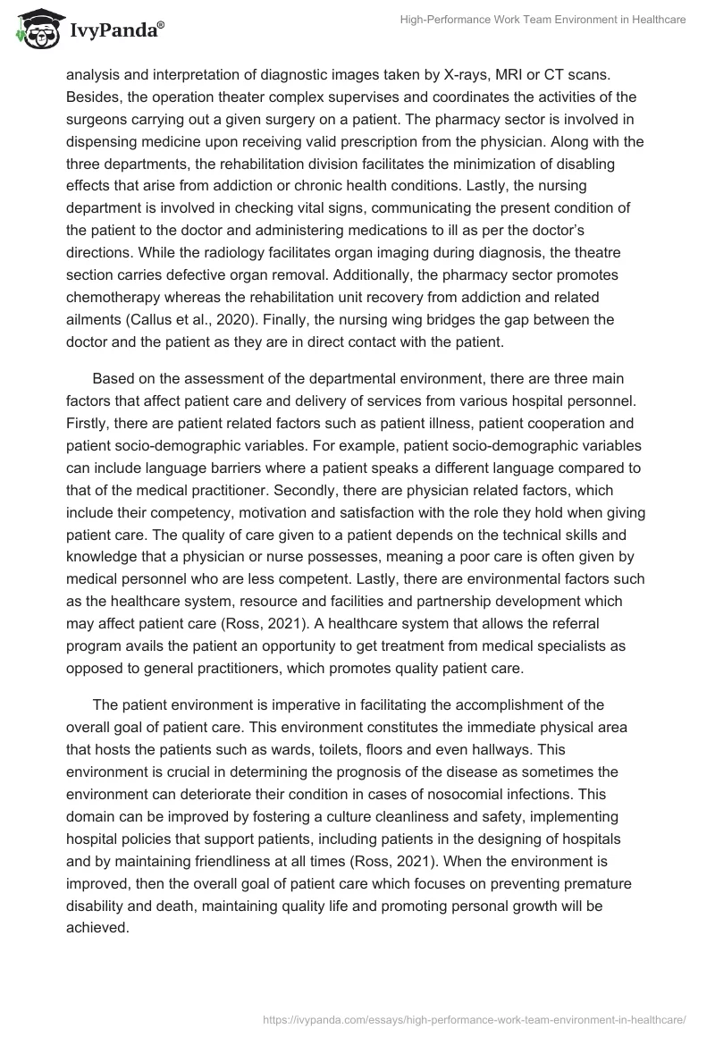High-Performance Work Team Environment in Healthcare. Page 2