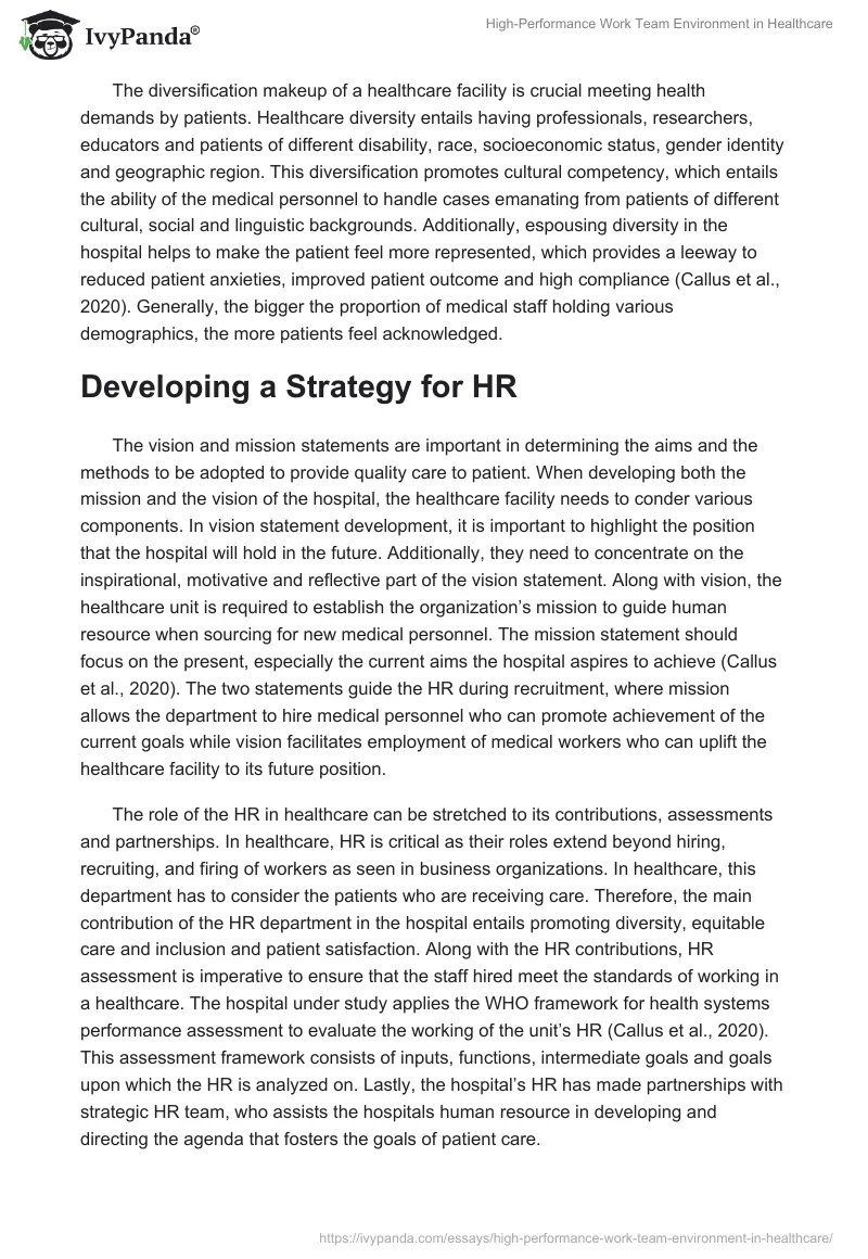 High-Performance Work Team Environment in Healthcare. Page 3