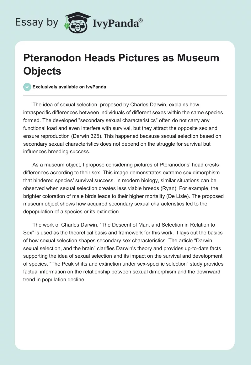 Pteranodon Heads Pictures as Museum Objects. Page 1